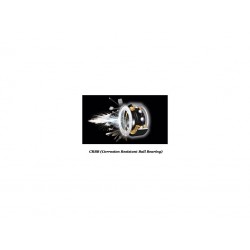 MOULINET CASTING DAIWA AIRD COASTAL 100