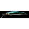 ARTIST FR105 JACKSON GBB