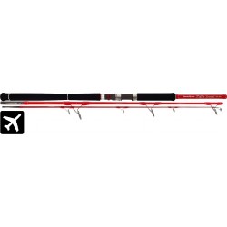 Canne Tenryu Diablo Travel 2.50m 40-110g