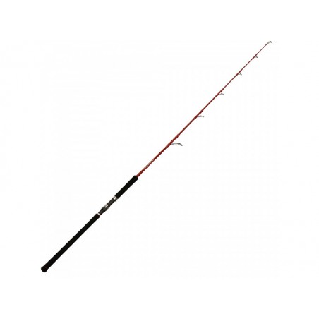 TUNA JIG BAIT 120 LBS TENRYU1.70M 120LB