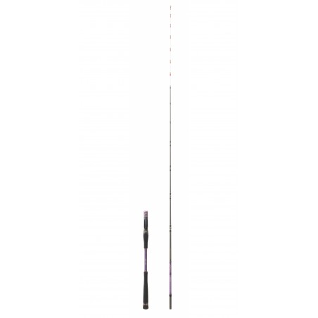 SHIGA TENYA HEARTY RISE CASTING 2.06M 100G MAX