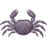Marukyu Crab Violet