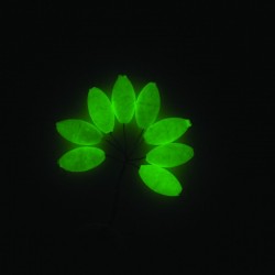 PERLES FLOTTANTES OVALES