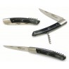 LE THIERS CORNE BRUNR TIRE BOUCHON