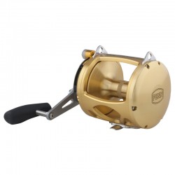 MOULINET PENN INTERNATIONAL ViS Gold