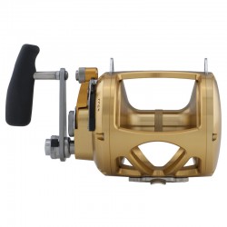MOULINET PENN INTERNATIONAL ViS Gold