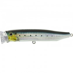 Tackle House Feed Popper 135 IWASHI