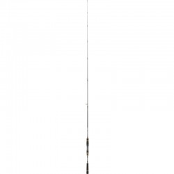 Canne Daiwa Black Gold Seabass
