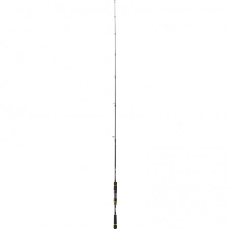 Canne Daiwa Black Gold Seabass