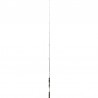 Canne Daiwa Black Gold Seabass