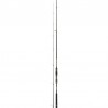 Canne Daiwa Black Gold Seabass