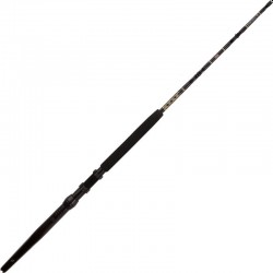 Canne Penn International 50-80LB