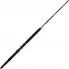 Canne Penn International 50-80LB
