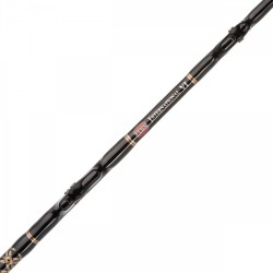 Canne Penn International 50-80LB