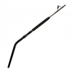 Canne Penn International 50-80LB
