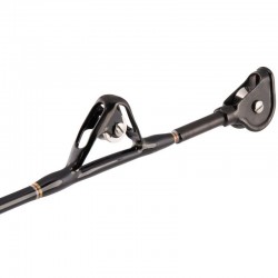 Canne Penn International 50-80LB