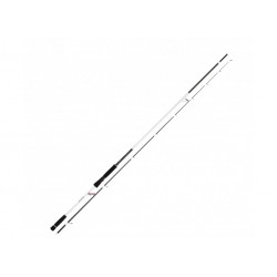 Canne Daiwa Infeet Seabass 702 hfs 2.13m 14-42g