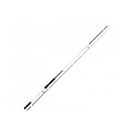 Canne Daiwa Infeet Seabass 702 hfs 2.13m 14-42g