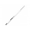 Canne Daiwa Infeet Seabass 702 hfs 2.13m 14-42g