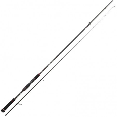 Canne Bassforce Special Spinning Hearty Rise