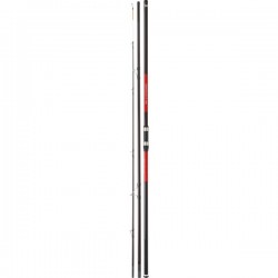 Canne CrossCast  X Surf DAIWA 4.20M