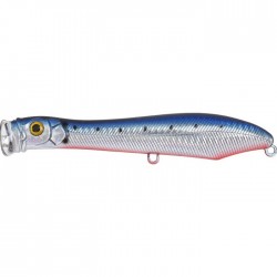 Xorus Popchinko 140 Sardine RB