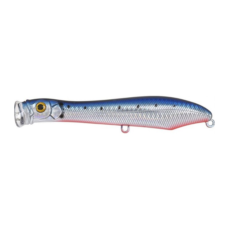 Xorus Popchinko 140 Sardine RB