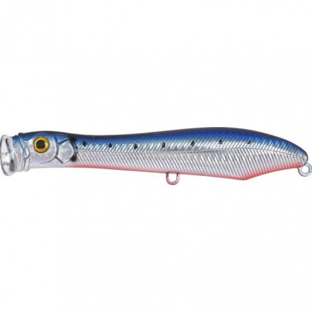 Xorus Popchinko 140 Sardine RB