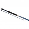 Combo Canne Riptid mitchell R 2.40m10/35g Moulinet Fx C3000 Shimano
