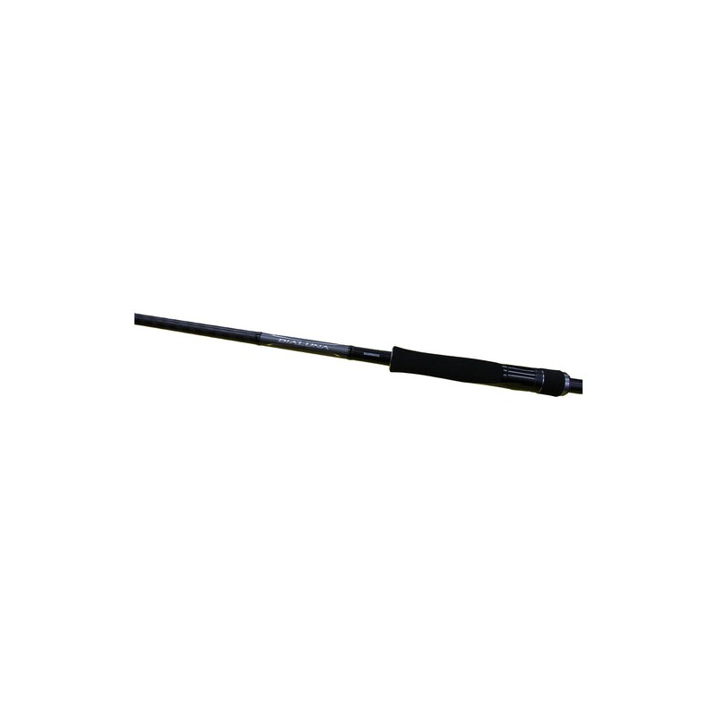 Dialuna S100MH Shimano 3,05g 10-56g