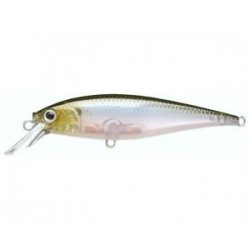 Ghost Minnow
