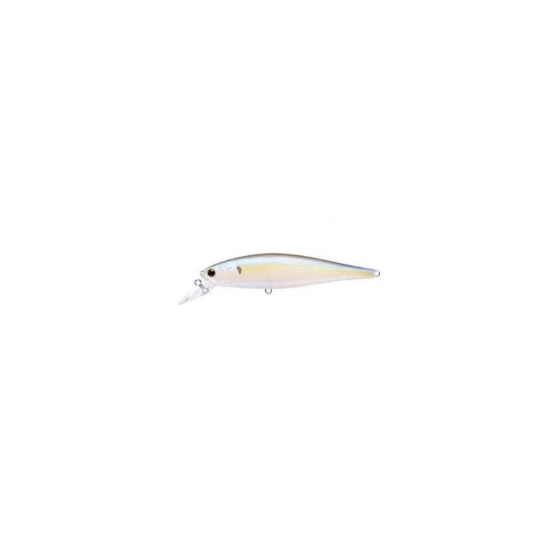 Chartreuse Shad