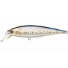 MS American Shad