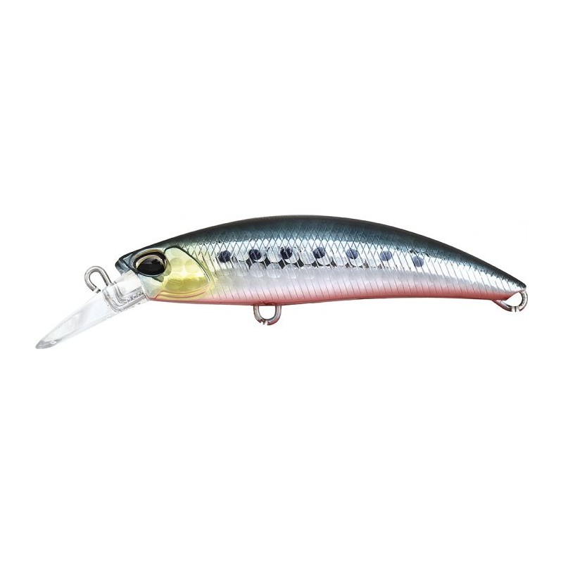 Sardine RB