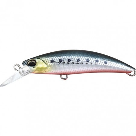 Sardine RB