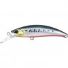 Sardine RB