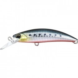 Sardine RB