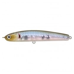 Zebra MS Ghost Minn