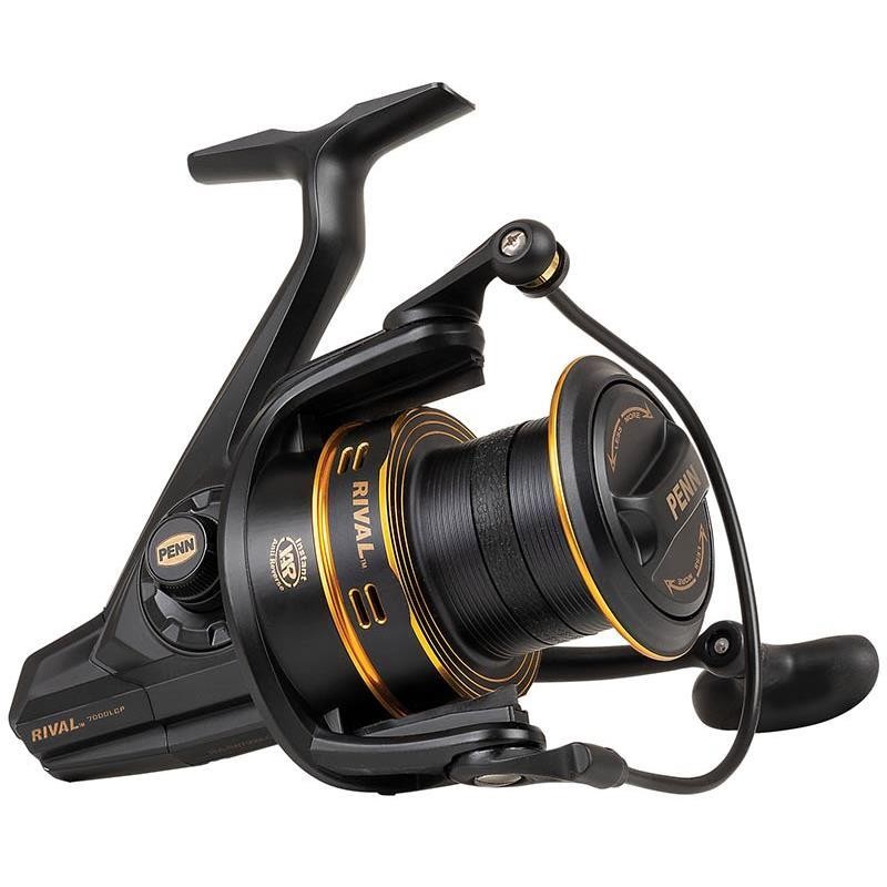 Penn Rival 7000 c Gold et 8000