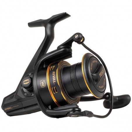 Penn Rival 7000 c Gold et 8000