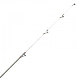 ShoreCaste surf Daiwa Tubular 4.20m 100-200g