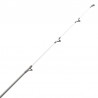 ShoreCaste surf Daiwa Tubular 4.20m 100-200g