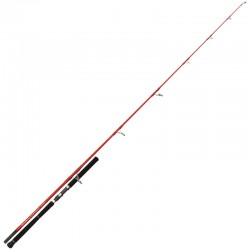 Canne Tenryu Demoniac Tuna 2.70m  40-120gr