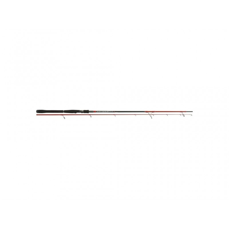 Canne Tenryu Injection 89 Sp Mh 2ES