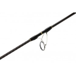 Canne Black Diamond II Spin 1,74m 350g