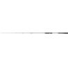Canne Black Diamond II Spin 1,74m 350g