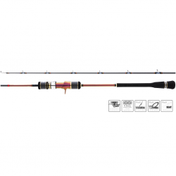 Hearty Rise Slow Jigging VI X Tokayo CSTING