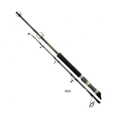 CANNE MER SHIMANO JIGWREX JIG 