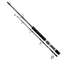 CANNE JIGWREX SHIMANO JIG 1.65m 100/200g