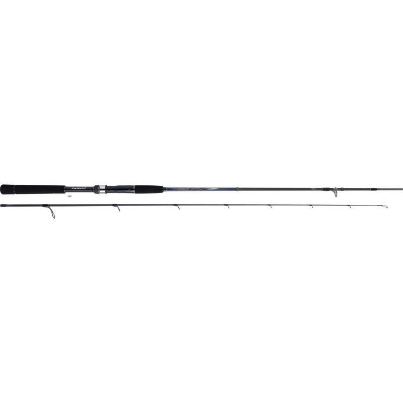 CANNE TOURNAMENT DAIWA SW AGS